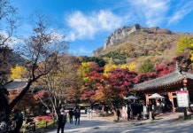 ‘백양사 100만 방문’… 전남 가을관광, 장성군이 이끌었다