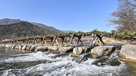 겨울 여행 명소로 입소문... 정선 아우라지에 특별한 다리가 있다