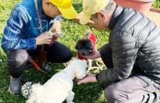 전남 함평군 월야면, 고독사 예방 위한 “도란도란 체험 프로그램” 성료