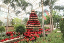 한국수목원정원관리원, 지구의 온도: 북극에서 고산까지 기획전 개최