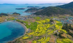 전남 완도 청산도, 2024 한국 관광의 별에 선정