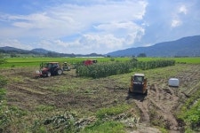 남원시, 축산농가 경영안정을 위한 조사료 재배 장려금 지원