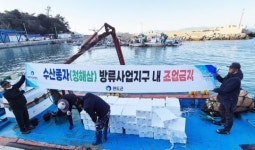 전남 완도군, 청해삼 방류·잘피 이식 등 수산자원 조성 힘써