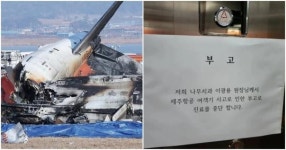 [제주항공 참사] 광주 개원 50대 치과의사 희생