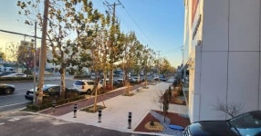 포항시, 보행자 중심 가로숲길 확대한다