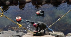 마트서도 안 팔아 당황...갑자기 품귀 현상 빚고 있다는 겨울철 한국 국민반찬
