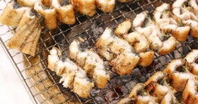 스테미나 향상에는 꼬리가 특히 좋다? 장어에 대한 오해와 진실