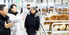 전남 강진한우 품격 있는 도약, 송아지부터 차별화한다