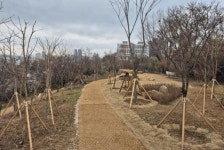 광주시, 불법경작 훼손 ‘월산근린공원’ 복원