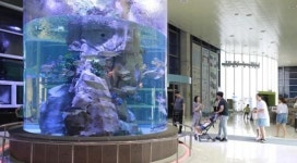 설 연휴 전남도해양수산과학관·섬진강어류생태관서 힐링하세요