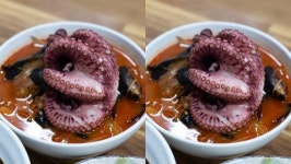 KBS2 생생정보 맛집 오늘 짬뽕전골 편