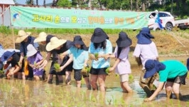 ‘폐교 위기’ 본량초, 작은 학교 불씨 살렸다