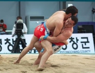 양평군, 연일 승전보 울리는 직장운동부···스포츠 메카로 급부상