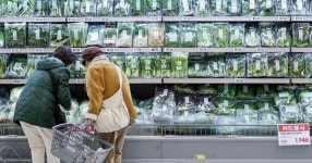 삼겹살보다 비싸다...가격 74% 치솟아 금값 됐다는 뜻밖의 국민 채소