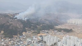 [속보] 울주 언양 산불 1단계 발령...송대리·울산 양육원 등 대피령