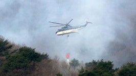 주불 잡힌 지 하루 만에...경북 산불, 안동·의성서 재발화 “헬기 투입해 긴급 진화 예정”