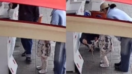 아이에게 촉감 놀이 시켜주려…횟집 수조에서 낙지 꺼낸 부모에 경악