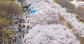 이럴 수가… 이번 주말 나들이 계획 세운 사람들 좌절할 날씨 예보