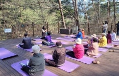전남 곡성군, 국립곡성치유의숲과 함께 치매 쉼터 운영