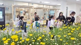 전남 진도군, 제2회 옥주골 식물나눔&어울림 장터 개최