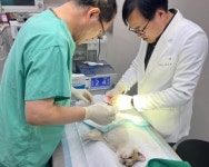 전남 순천시 반려동물 공공진료소, 전국 최초로 일요일 문 연다