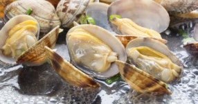 EBS1 한국기행 달인 2부, 바지락 편