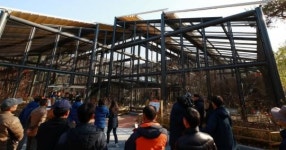 전 세계 660마리밖에 없다… 한국에선 사실상 멸종했다는 의외의 동물