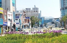 도심에 꽃 피운다 양평군, 회전교차로 정원화 사업 확대