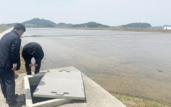 전남 진도군, 농번기 맞이 농업용수 본격 공급…예산 투입해 정비 완료