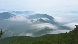 [위키 포토]장흥의 아침을 덮은 은빛 물결~억불산, 구름에 잠기다