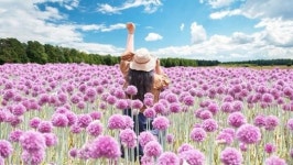 보랏빛 마을로 떠나는 6월 여행, 강진 부흥마을 주목