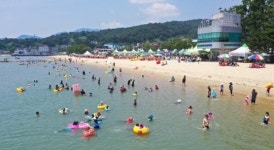 솔향기와 바다, 여름이 머무는 보성율포해수욕장 개장