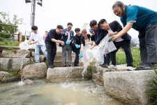 양주시, 옥정호수공원 회암천에 미꾸라지 방류