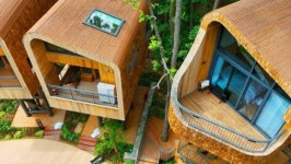 피켓팅 전쟁... 3분 만에 완판된 231억 숲캉스 숙소, 다음 예약일은 언제?