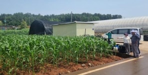 전남 고흥군, 폭염 대응 농작물·가축 관리 기술지원 강화