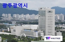 광주시, 전기차 560대 추가 지원~보조금 9월 이후 국비만