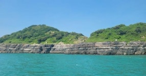 전남 완도군, 무인도 34곳 생태계 점검~지속적 보전 총력