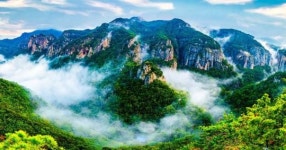 여름휴가는 산소카페 경북 청송군에서