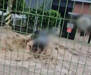 한 시민이 폭우 속에서 20분 사투 끝에 어르신을 구하는 모습  (영상)