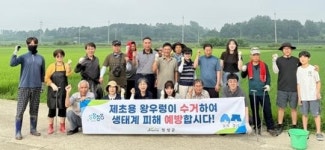 전남 장성군, 8월까지 논벼 ‘왕우렁이’ 집중 수거