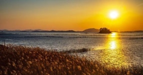 전봇대 싹 걷어냈더니… 관광객 무려 420만 명 몰린 국내 명소