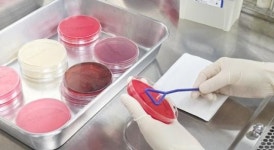 뜨거운 여름, 젖소도 지친다~전남도, 축사 환경 관리 ‘총력’