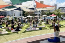 강진의 다정을 담은 피크닉, 하맥축제와 만나다