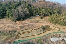 전남 영광군 성산공원에 18홀 정원형 파크골프장 들어선다