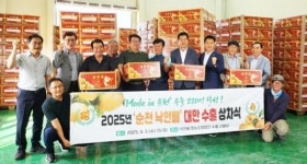 순천 명품 낙안배, 2025년 9월 대만 첫 수출길 올라!