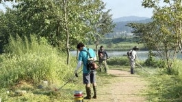 전남 나주시 남평읍 지석강관리협의체, 지석천 풀베기 봉사활동