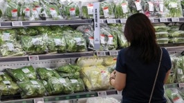 삼겹살에 필수인데 금값 조짐보여…더 비싸지기 전에 꼭 사둬야 할 ‘국민 채소’