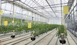 전남 화순의 미래 농업, 스마트팜에서 익어간다