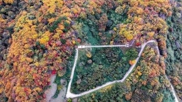 전국에서 몰릴 듯…34억 들여 드디어 정식 개통된 이 다리