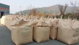 전남 완도군, 신지면 수매를 시작으로 4주간 진행3천여 톤 매입